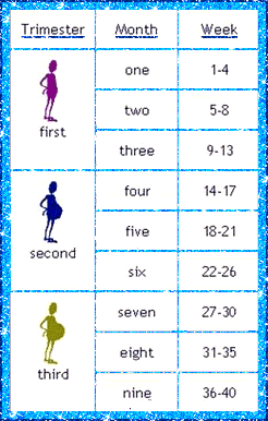 Https Encrypted Tbn0 Gstatic Com Images Q Tbn 3aand9gcrjfxzlrax1ybyasxglhpptgkbx9o0ej7el8q Usqp Cau