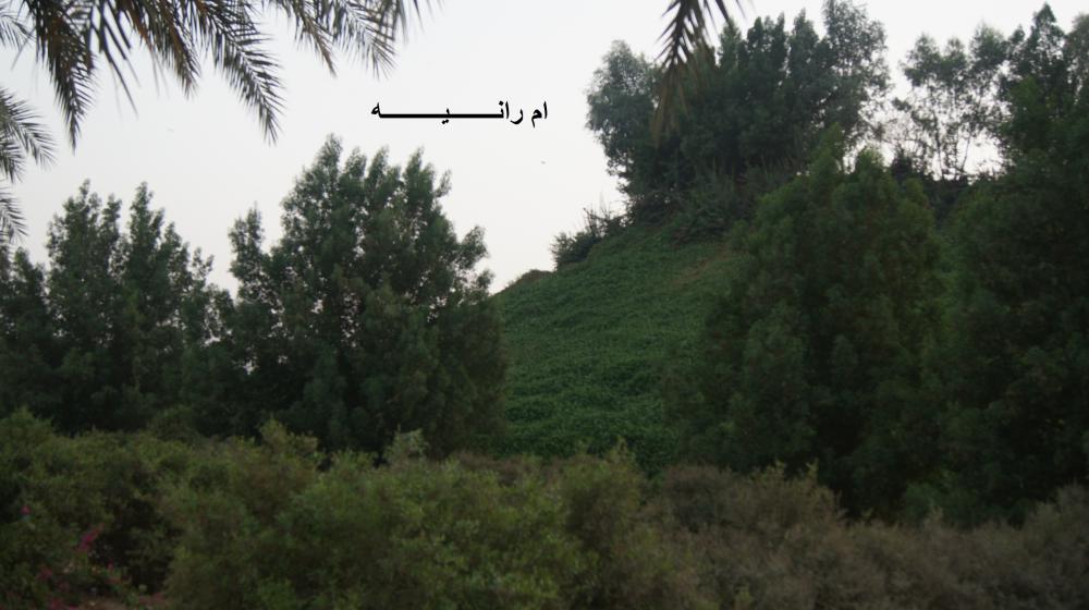 نزهتي وعائلتي لغابة شرق جدة بالصور عالم حواء