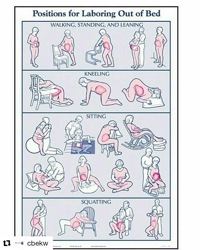 الرحم فاتح نص سانتي الصفحة 3 عالم حواء