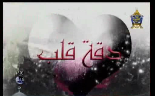 جميع حلقات قبسات ونسمات نبضة دقة قلب قطوف همسة عبرة من قناة الناس عالم حواء