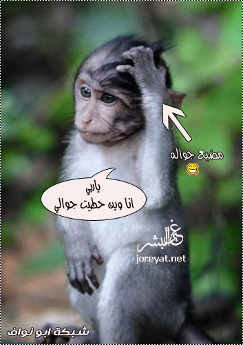 صور تموت ضحك اضحك من قلبك ككككككككككك عالم حواء