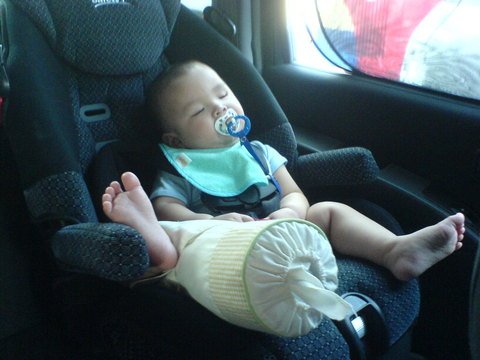 النوم ساس اللوم لو يدري الفتى ما نام