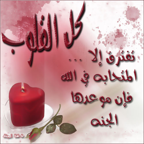 احبك في الله عالم حواء