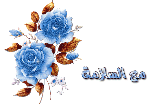 همم 17 رائدة بإرادة واعدة في ضيافة بدوية متحنية الصفحة 804 عالم حواء